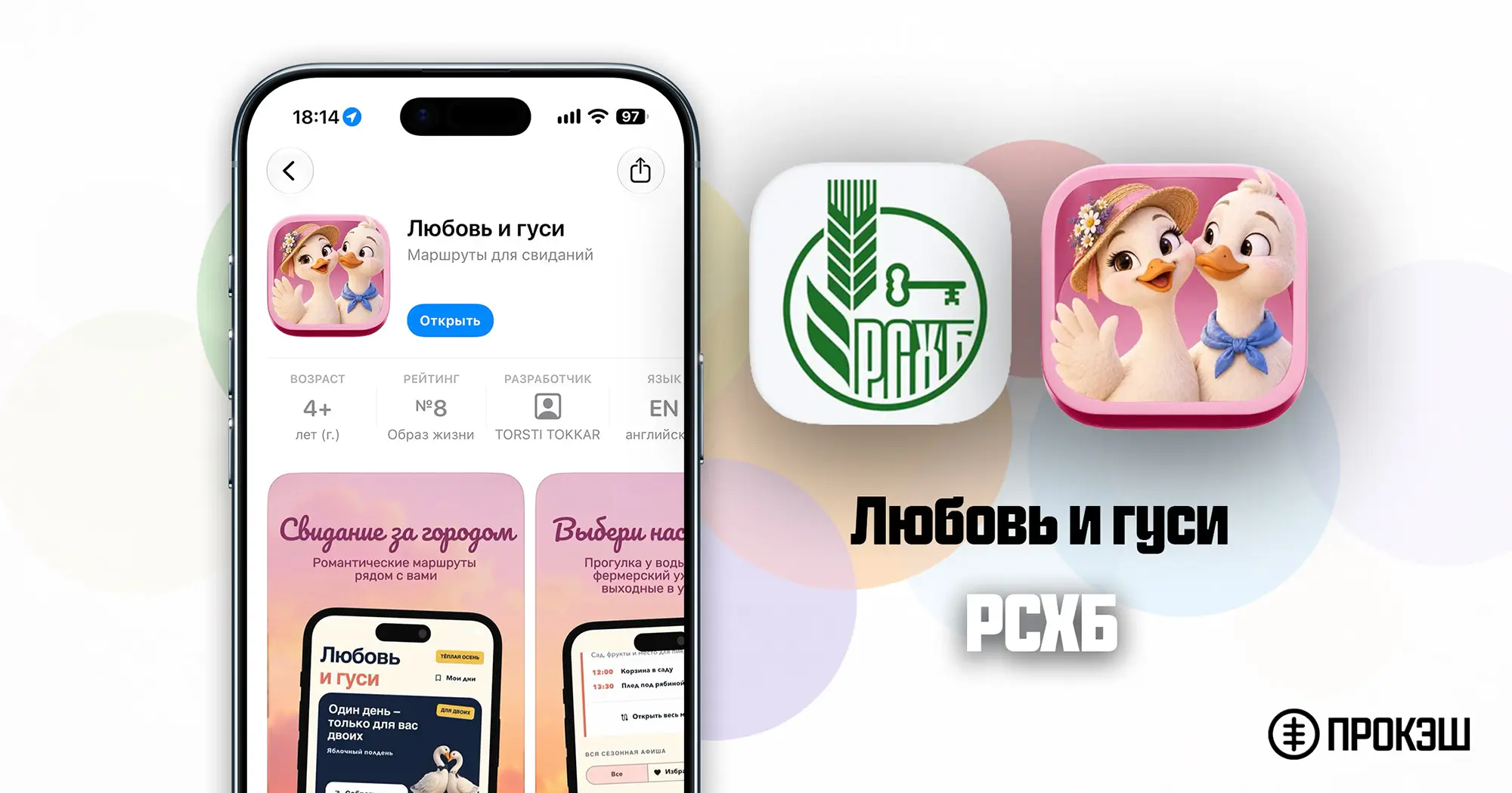 РСХБ для iPhone - Любовь и Гуси