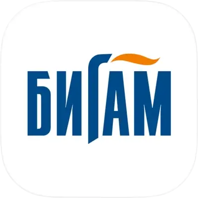 Бигам - инструменты и техника